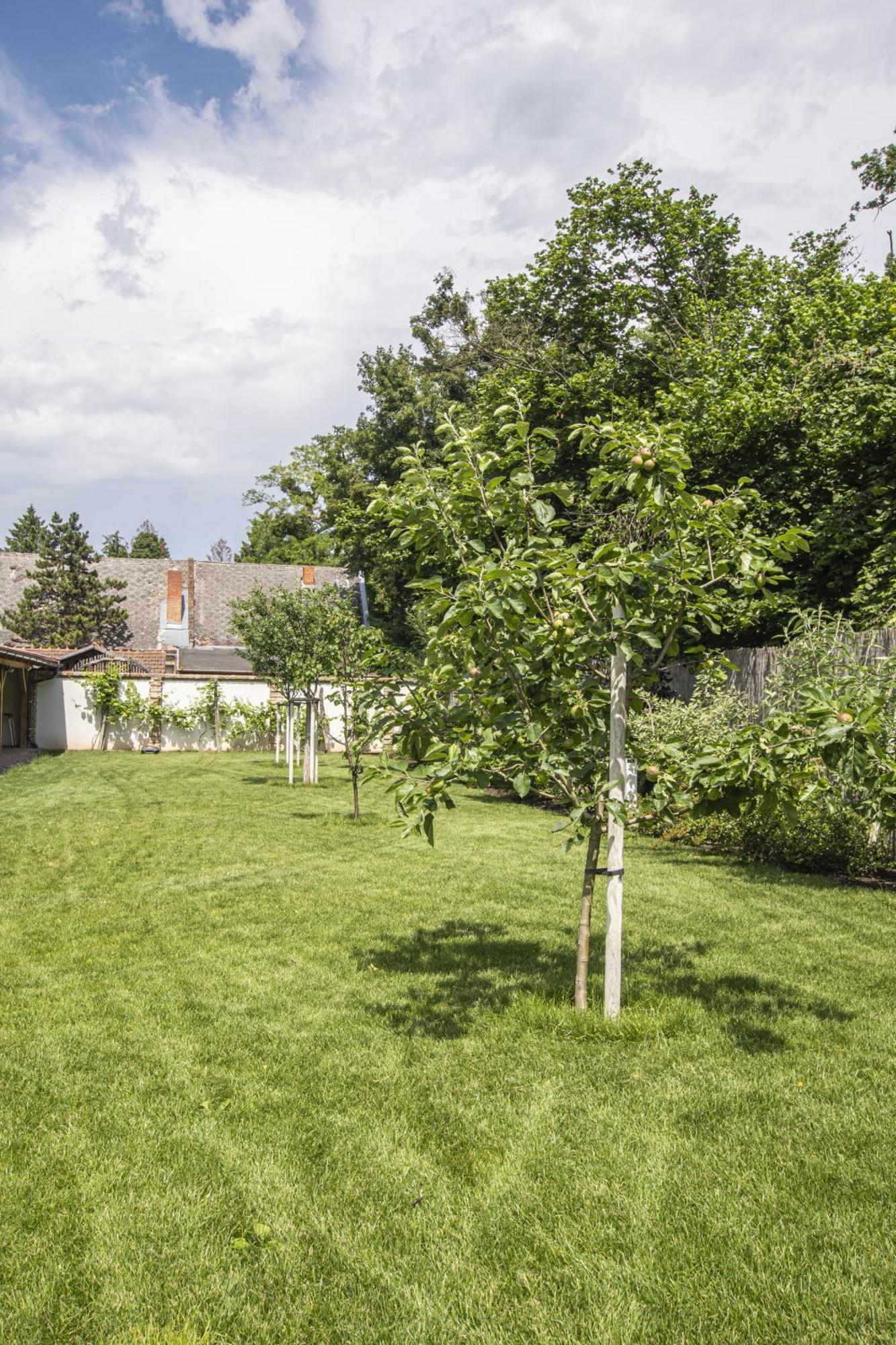 Appartement Uprostred Zelene